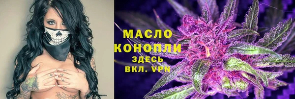 крисы Абаза