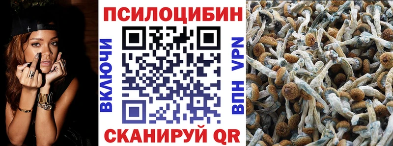 Галлюциногенные грибы MAGIC MUSHROOMS  Дыгулыбгей 
